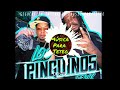 ROCHY RD FT PABLO PIDDY - LOS PINGÜINO DOBLE TONO (CAR AUDIO) PARA MUSICOLOGOS