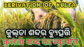 କୁଲ୍‌ତା ଶବ୍ଦର ବ୍ୟୁତ୍ପତ୍ତି। Deriviation of Kulta. कुलता शब्द का ब्युत्पत्ति।