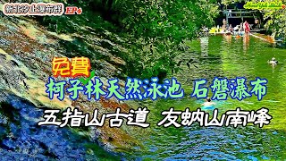 免費免門票柯子林天然游泳池 石磐瀑布 五指山古道 友蚋山南峰 《新北汐止瀑布群EP4》Kezilin Natural Swimming Pool, Shipan Waterfall