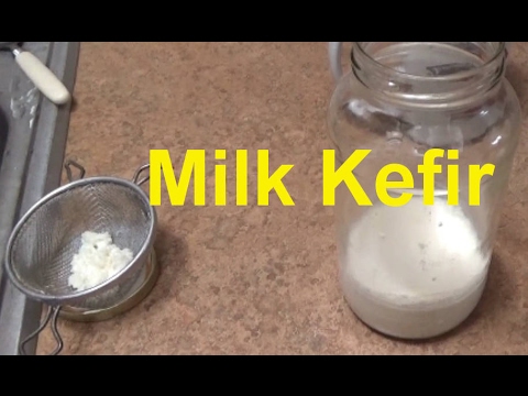 Milk Kefir ~ How To Use It ~ Healthy Organic Probiotic Milk Drink Milk Kefir ~ How To Use It ~ Healthy Organic Probiotic Milk Drink