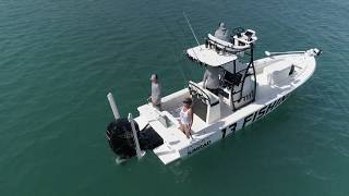 FS Boat Review - Dorado 25