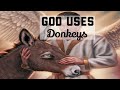 God uses Donkeys | 5 minute Gospel with Cassie