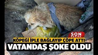 Çivril'de Köpeği İple Ayaklarını Bağladığı Köpeği Çöpe Atan Kadın Kameraya Yakalandı - haberdenizli