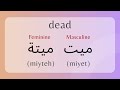 adjectives in levantine arabic ultimate collection levantine arabic for beginners