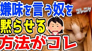 この方法がベスト。嫌味をいう奴を黙らせる方法をぬこが解説【メンタリストDaiGo/切り抜き】