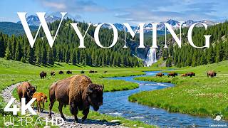 Wyoming National Park 4K – Tranquil Landscapes, Blooming Fields & Nature’s Gentle Touch