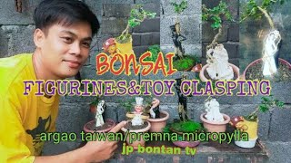 How to make a bonsai with toy\u0026figurines clasping?.argao Taiwan/premna micropylla.3 types of figurine