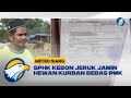 Dilengkapi Surat Keterangan Sehat, SPHK Kebon Jeruk Jamin Hewan Kurban Bebas PMK