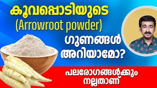കൂവപ്പൊടിയുടെ (Arrowroot powder) ഗുണങ്ങൾ അറിയാമോ ? പലരോഗങ്ങൾക്കും നല്ലതാണ്