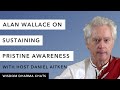 Alan Wallace on Seeing and Sustaining Pristine Awareness