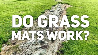 Do Grass Seed Mats Work?