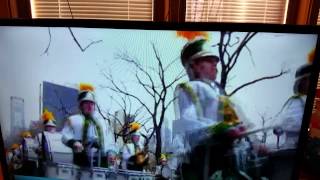 Ashwaubenon high band 2015 st Patrick's parade