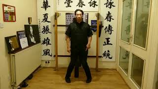 Grandmaster Samuel Kwok explain 二字拑羊馬 WİNG CHUN BASIC STANCE