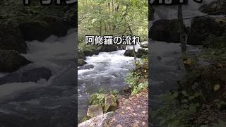 【絶景】奥入瀬渓流の滝めぐり／Visit waterfalls at Oirase Gorge #shorts