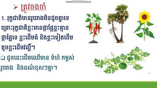 WNS-Science G1មេរៀនវិទ្យាសាស្រ្ដ ថ្នាក់ទី1 មេរៀនទី4 រុក្ខជាតិដែលខ្ញុំស្គាល់(4.រុក្ខជាតិខុសគ្នាត្រង់)