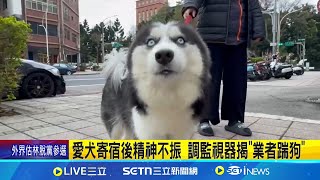 愛犬寄宿後精神不振 調監視器揭\