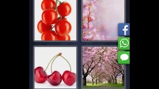 4 Pics 1 Word  - Level 1571 [HD] (iphone, Android, iOS)