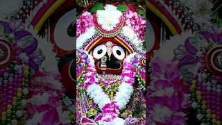 ଜଗନ୍ନାଥ ଗପ / Jagannath Story #youtubeshorts #shorts #shortsvideo #story #jagannathapuri #jaganatha