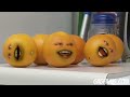 annoying orange 5 more annoying orange