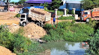 Nice bulldozer pushing soil filling up land with mini dump trucks