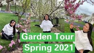 [ENG SUB] 后院改造一年首次参观我的春季花园Dr. Stella's Garden Tour Spring 2021