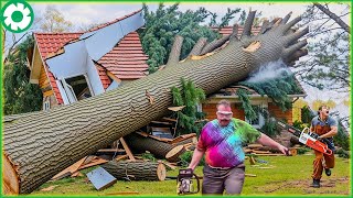 Most Big Chainsaw Cutting Tree Machines | Tree Falling on Houses #6