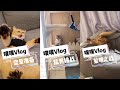 【PuPu噗噗】拆开的一瞬间我都懵了 #猫咪 #猫咪日常