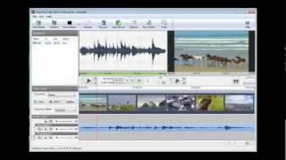 VideoPad Video Editing Software | Tutorial (v2.12)