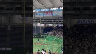 イチローバッティング練習！2024年もスタンドに放り込む