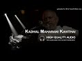 kadhal maharani kavithai high quality audio song ilayaraja