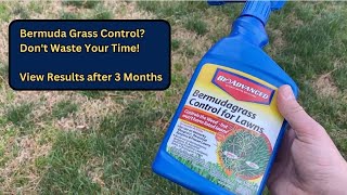 Bermuda Grass Control for Lawns Product Review - Does it work?