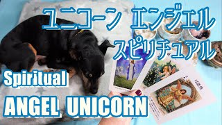 犬 ペンデュラム ヒーリング後カードを引いてみました Draw the cards , after pendulum healing for Dog .