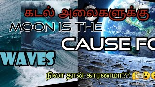 🎧என்னது கடல்ல வர அலைகளுக்கு ((((நிலா)))) தா காரணமா 🤔🤔😮🎧