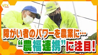 「農福連携」～地域農業と障がい者支援の希望の光～