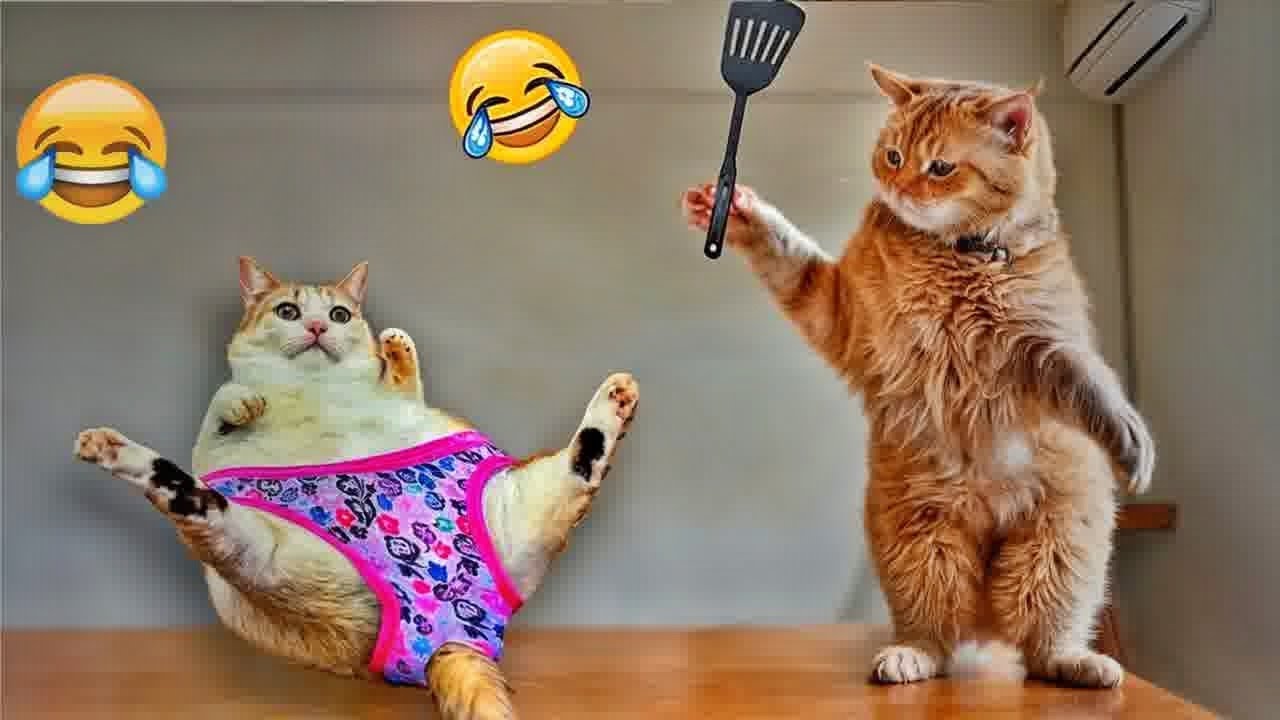 You Laugh You Loseрџґіfunniest Dogs And Cats 2025рџђ Youtube