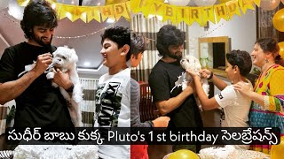 Sudheer Babu and wife priyadarshini and children charith darshan Celebrated Pluto's 1st birthday