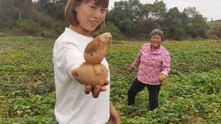 周末是小囿夫妻的情感生活，用现实感字画表达陪伴是最长情告白