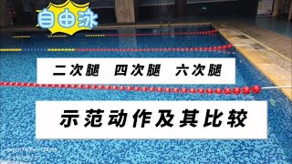 自由泳的二次腿、四次腿、六次腿区别在哪里？请看不同示范动作