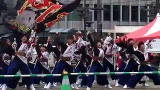 鹿児島国際大学 創生児 かごしま春祭大ハンヤ2016