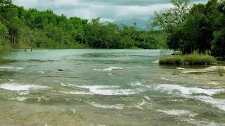 4K【安曇野/自然の音】安曇野の川のせせらぎ、鳥のさえずり、流れる水の音は、リラックスし、瞑想し、勉強するのに役立ちます。#18