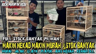 NEKAD SEMAKIN MURAH DAN STOK BANYAK !!!! MURAI - JALAK - GLATIK - PLATUK - ANIS MERAH - KENARI DLL