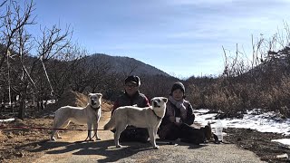 겨울을 이기는 식물들/ 시골 저녁밥상 차린 아내의 고마움/ 강아지와 산책중 만난 고라니/ 자연과 편안한 일상에 대한 감사