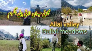 Explore Badhgram of Pakistan: Uncovering the Wonders of Allai Valley and Gullai Meadows #kpk