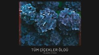 Taladro \u0026 Rash - Tüm Çiçekler Öldü (Official Video)