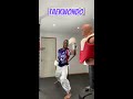 taekwondo vs muay thai