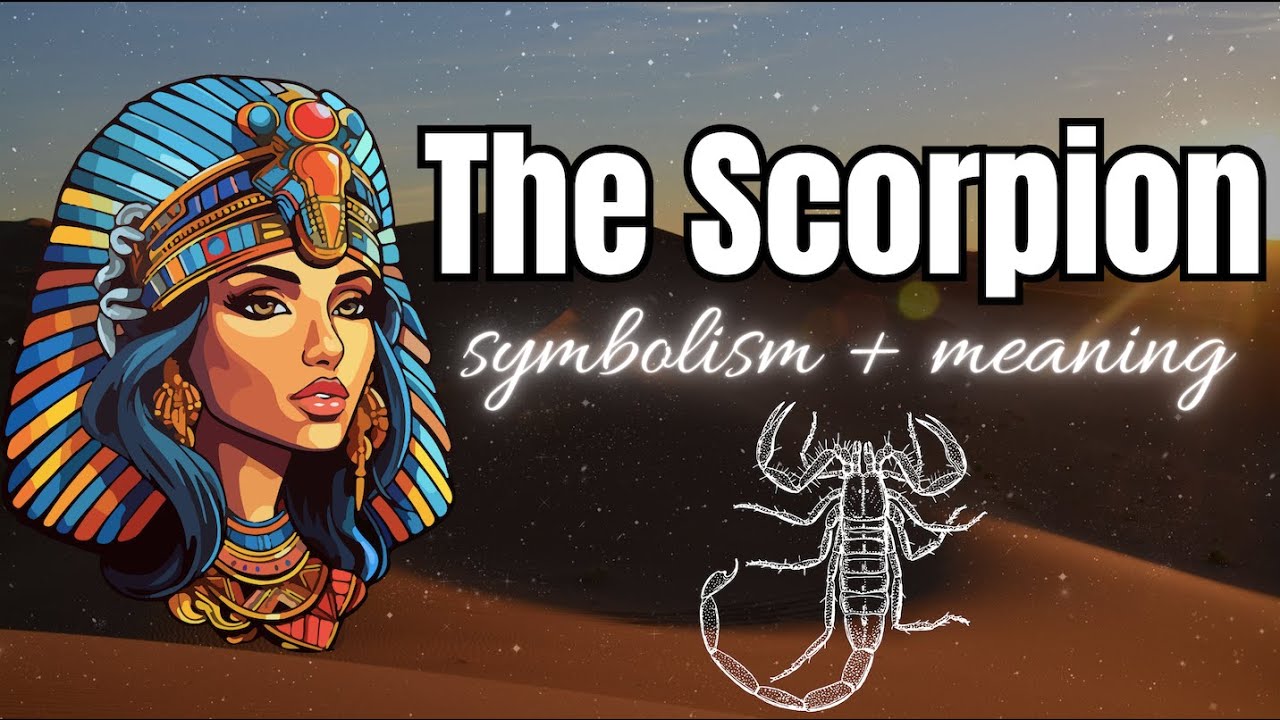 SCORPION SYMBOL & MEANING ANCIENT EGYPTIAN SYMBOL #scorpio #scorpion # ...