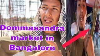 BANGALORE Dommasandra Market Sarjapur | Personal Vlog | Vlog Video