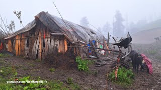 Surviving Life in the Nepali Mountains During the Rainy Season | All Season Compilation Video |