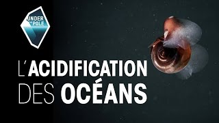 UNDER THE POLE Education • L'acidification des Océans
