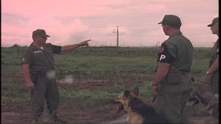 US Army 88th Military Police Corps handlers are instructed by a sergeant about a ...HD Stock Footage